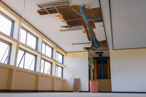 Best Local water damage restoration  in Columbus, MS