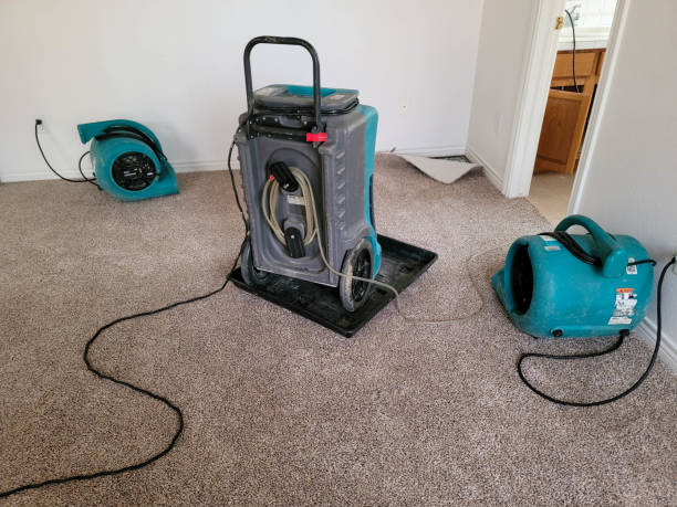 Best Water damage restoration process  in Columbus, MS