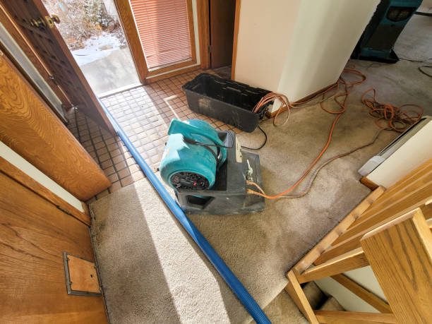Best 24-hour water damage restoration  in Columbus, MS