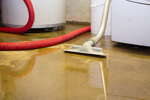  Columbus, MS Water damage restoration Pros
