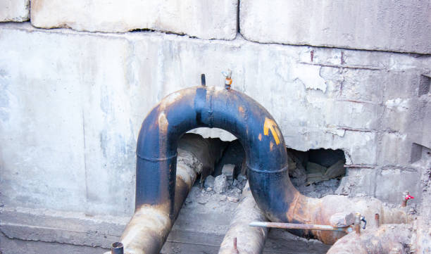 Best Water damage cleanup near me  in Columbus, MS