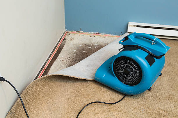 Best Water damage restoration near me  in Columbus, MS