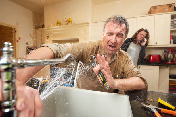 Best Mold removal after water damage  in Columbus, MS